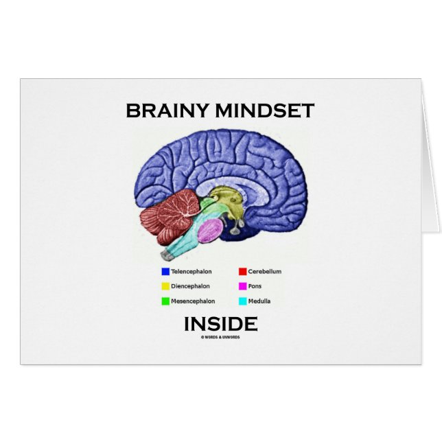 Kleine mindset binnenin (anatomisch brein) (Voorkant Horizontaal)