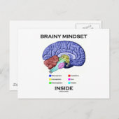 Kleine mindset binnenin (anatomisch brein) briefkaart (Voorkant / Achterkant)