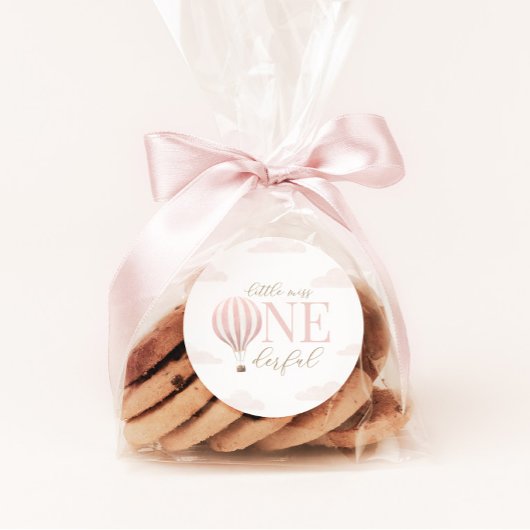 Kleine Miss Onederful Hete Luchtballon Verjaardag Ronde Sticker