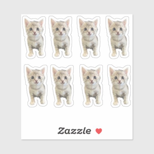 Kleine Miss Winter - Kat / Kitten Sticker (Vel)