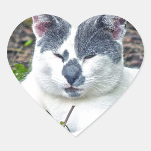 Kleine Mister Pants Hart Sticker