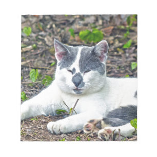 Kleine Mister Pants Notitieblok