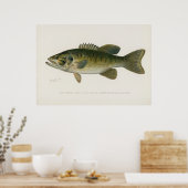 Kleine monniksbaars  kunst poster (Keuken)