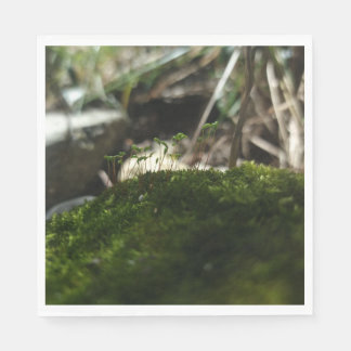 Kleine Mooswelt – Naturfotografie Serviette Servet