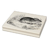  kleine muis Antiek Rubberstempel (Stempel)