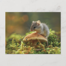 Kleine muis die op een bovenkant van een paddensto briefkaart