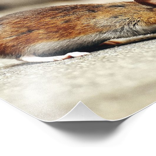 Kleine muis foto afdruk (Hoek)