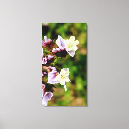kleine multi kleur bloem lente flora collectie canvas afdruk