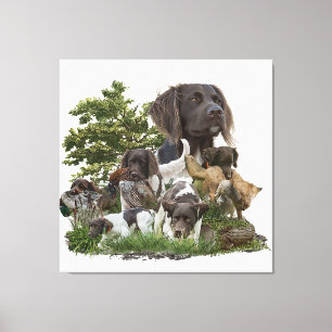 Kleine Munsterlander Canvas Afdruk