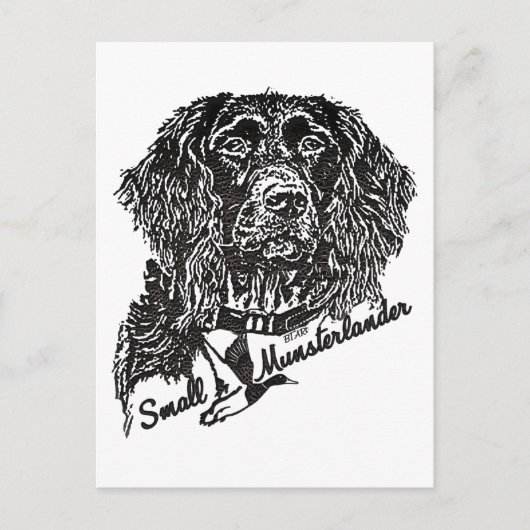 Kleine Munsterlander (logo) Briefkaart (Voorkant)