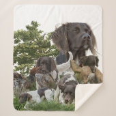 Kleine Munsterlander Sherpa Deken (Voorkant)