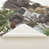 Kleine Munsterlander Sherpa Deken (3/4)