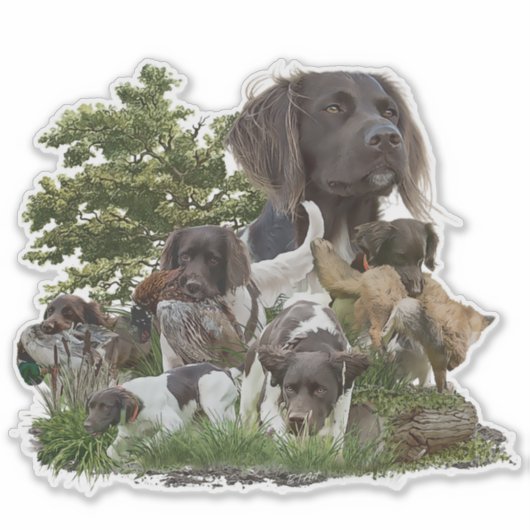 Kleine Munsterlander Sticker (Voorkant)