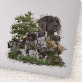 Kleine Munsterlander Sticker