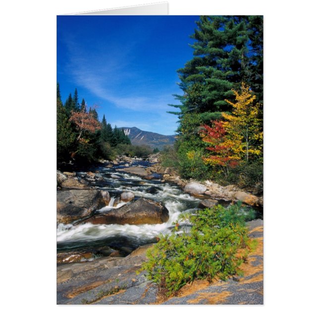 Kleine Niagra Herfsten, Appalachian Trail, Maine (Voorkant)