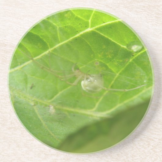 Kleine Onderzetters met spindopjes (Voorkant)