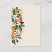 Kleine Oranje granietroerboot diapelhandel Informatiekaartje (Achterkant)