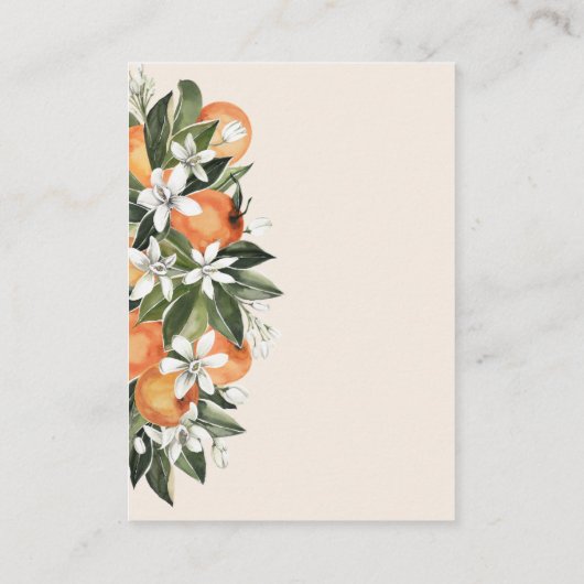 Kleine Oranje granietroerboot diapelhandel Informatiekaartje (Achterkant)