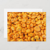 Kleine Oranje Herfst Harvest Pumpkins Briefkaart (Voorkant / Achterkant)