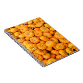 Kleine Oranje Herfst Harvest Pumpkins Notitieboek (Rechterzijde)