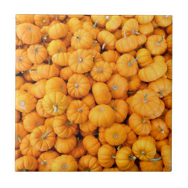 Kleine oranje herfst oogst pompoenen tegeltje