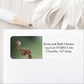 Kleine Oranje kolibrie Etiket (Insitu)