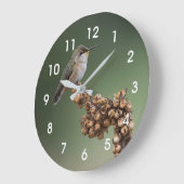 Kleine Oranje kolibrie  Grote Klok (Hoek)