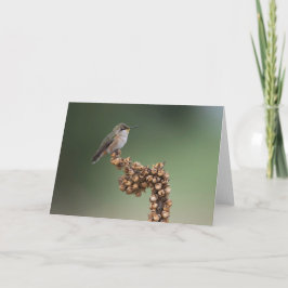 Kleine Oranje kolibrie Kaart