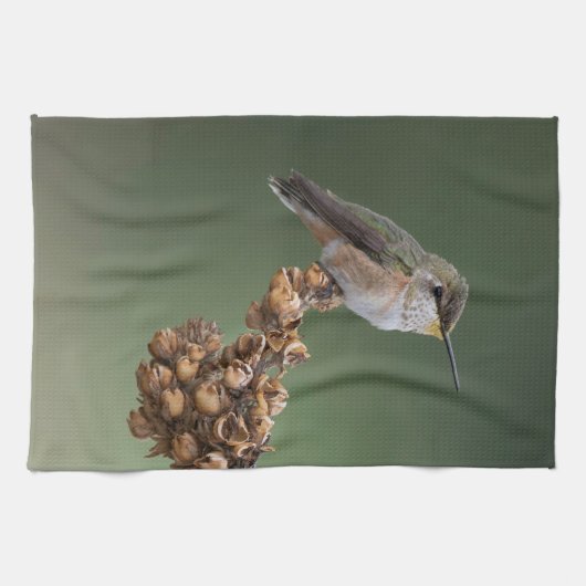 Kleine Oranje kolibrie Theedoek (Horizontaal)