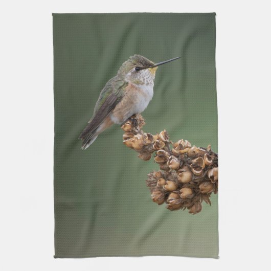 Kleine Oranje kolibrie Theedoek (Verticaal)