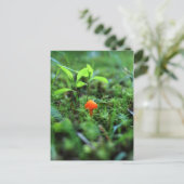 Kleine Oranje paddenstoel Briefkaart (Staand voorkant)