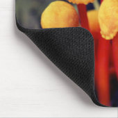 Kleine Oranje paddenstoelen Natuur Muismat (Hoek)