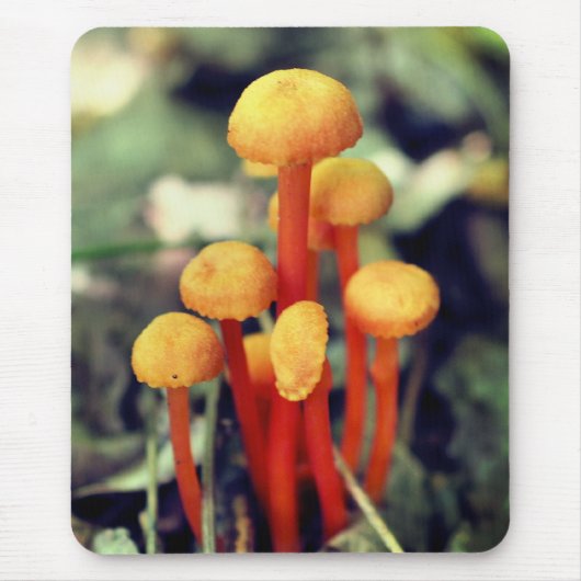 Kleine Oranje paddenstoelen Natuur Muismat (Voorkant)