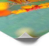 Kleine Oranje vlinder Poster (Hoek)