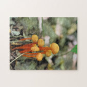 Kleine Oranje wilde paddenstoelen Natuur Legpuzzel (Horizontaal)