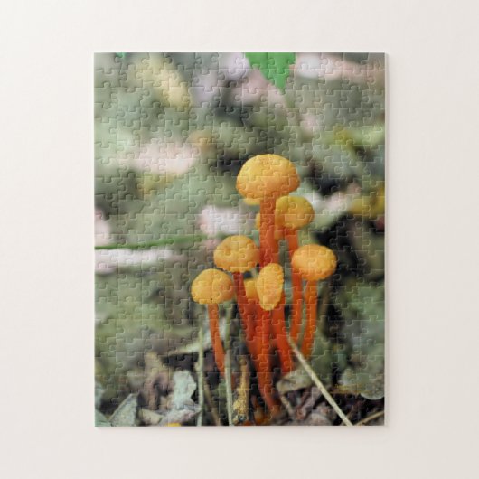 Kleine Oranje wilde paddenstoelen Natuur Legpuzzel (Verticaal)