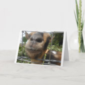 KLEINE OUDE IK WENST JE EEN KLEINE OUDE VERJAARDAG KAART (Voorkant)