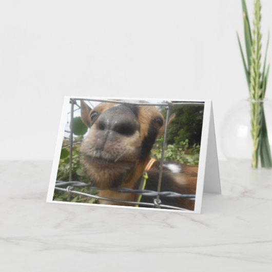 KLEINE OUDE IK WENST JE EEN KLEINE OUDE VERJAARDAG KAART (Voorkant)