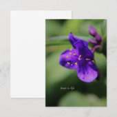 Kleine Paarse Bloem Up-close Notitiekaartje (Voorkant / Achterkant)