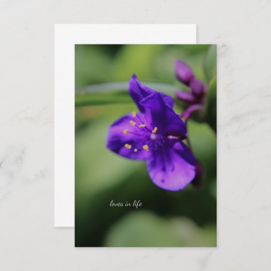 Kleine Paarse Bloem Up-close Notitiekaartje (Voorkant / Achterkant)