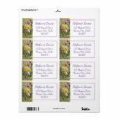 Kleine Paarse Daisies Etiket (Full Sheet)
