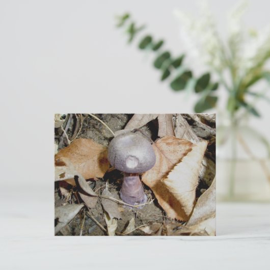 Kleine Paarse paddenstoel Briefkaart (Staand voorkant)