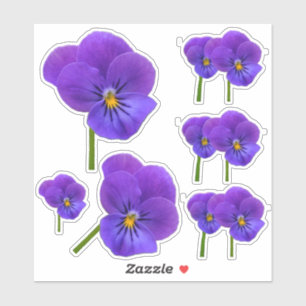 Kleine Paarse Pansievergadering Sticker