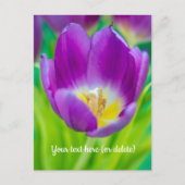 Kleine Paarse Tulp Briefkaart (Voorkant)
