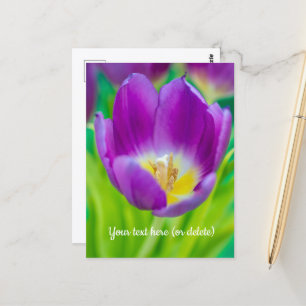 Kleine Paarse Tulp Briefkaart