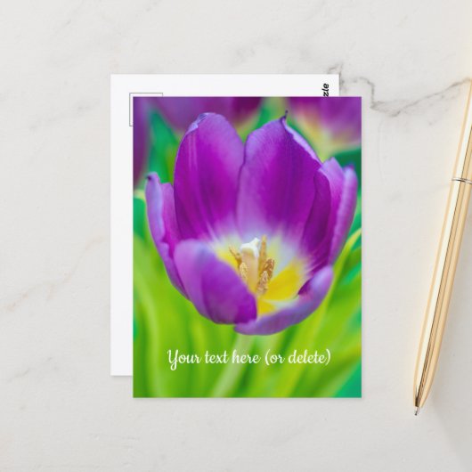Kleine Paarse Tulp Briefkaart (Voorkant / Achterkant in situ)