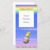 Kleine paaskippenvleugels Foto Feestdagenkaart (Voorkant / Achterkant)