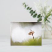 Kleine paddenstoel Natuur Foto Briefkaart (Staand voorkant)