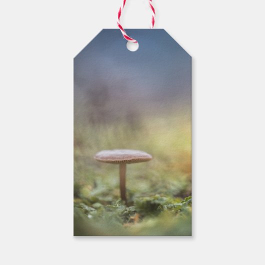 Kleine paddenstoel Natuur Foto Cadeaulabel (Voorkant)