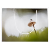 Kleine paddenstoel Natuur Foto Groot Cadeauzakje (Voorkant)